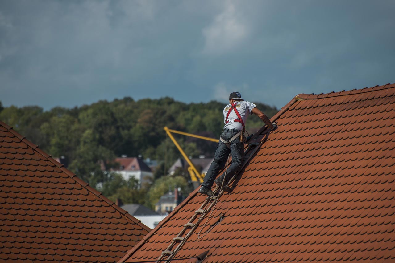 divi-roofing-theme-8